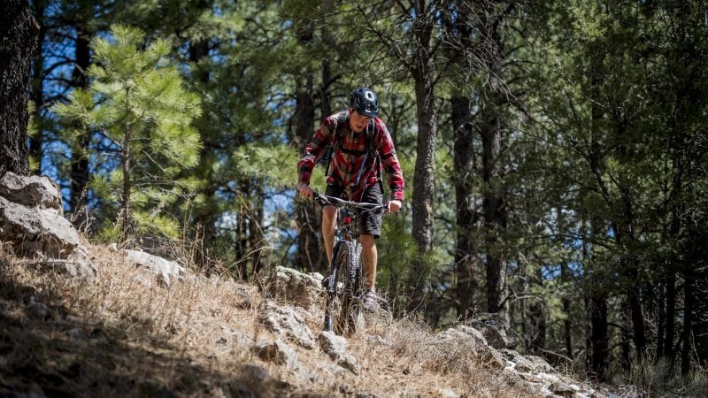 Student rides mountain bike in forest.