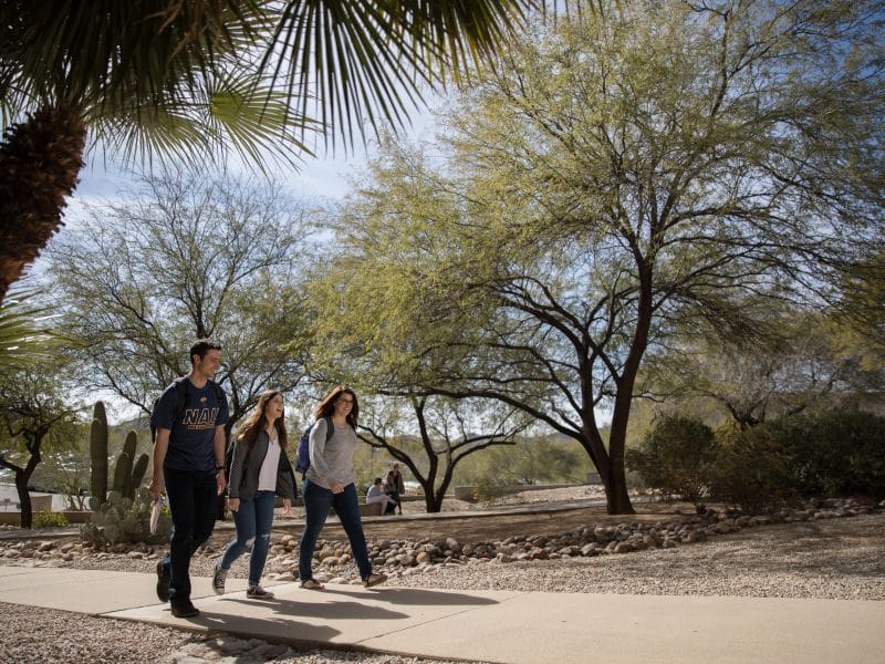 Students walk on sidewalk under desert trees.