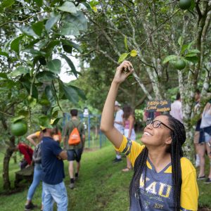 Student examining a tree with other students behind her