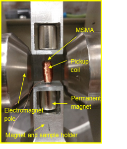 magnetic shape memory alloys