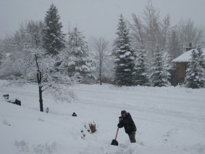 photo of person out in the snow