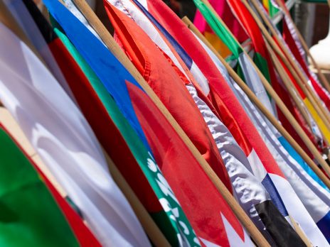 International flags lined up at N A U
